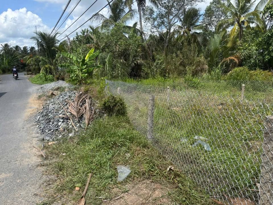 Đất Nền Tân Quới Vĩnh Long 61m² - Sổ Đỏ Chính Chủ, Giá Tốt!