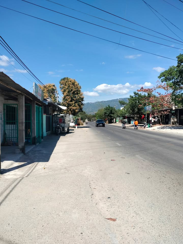 Đất Vườn Ninh Sơn 9500m² Giá 760 Triệu - Nghỉ Dưỡng Lý Tưởng!