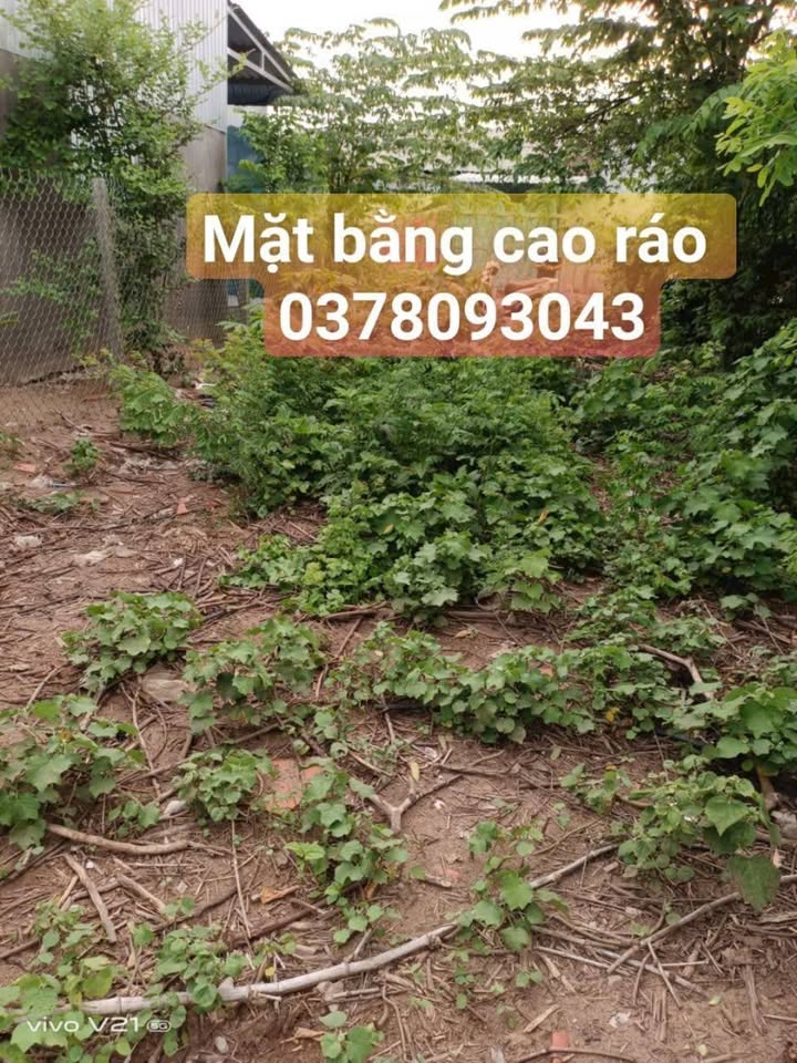 Bán Đất Nền Tân Phú Trung 210m² Giá 4xx Triệu - Sổ Đỏ Chính Chủ!