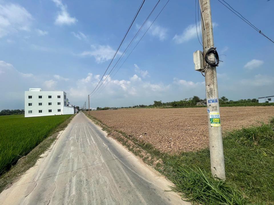 Đất nền Xã Tân Điền Gò Công Đông 6930m² - Tiềm năng tăng giá vượt trội!