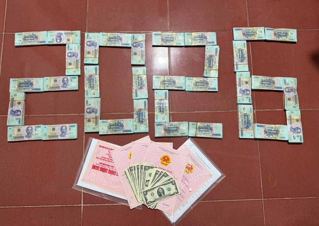 Đất nền Tân Liễu Bắc Giang 744m² giá 6 tỷ - Sổ đỏ chính chủ