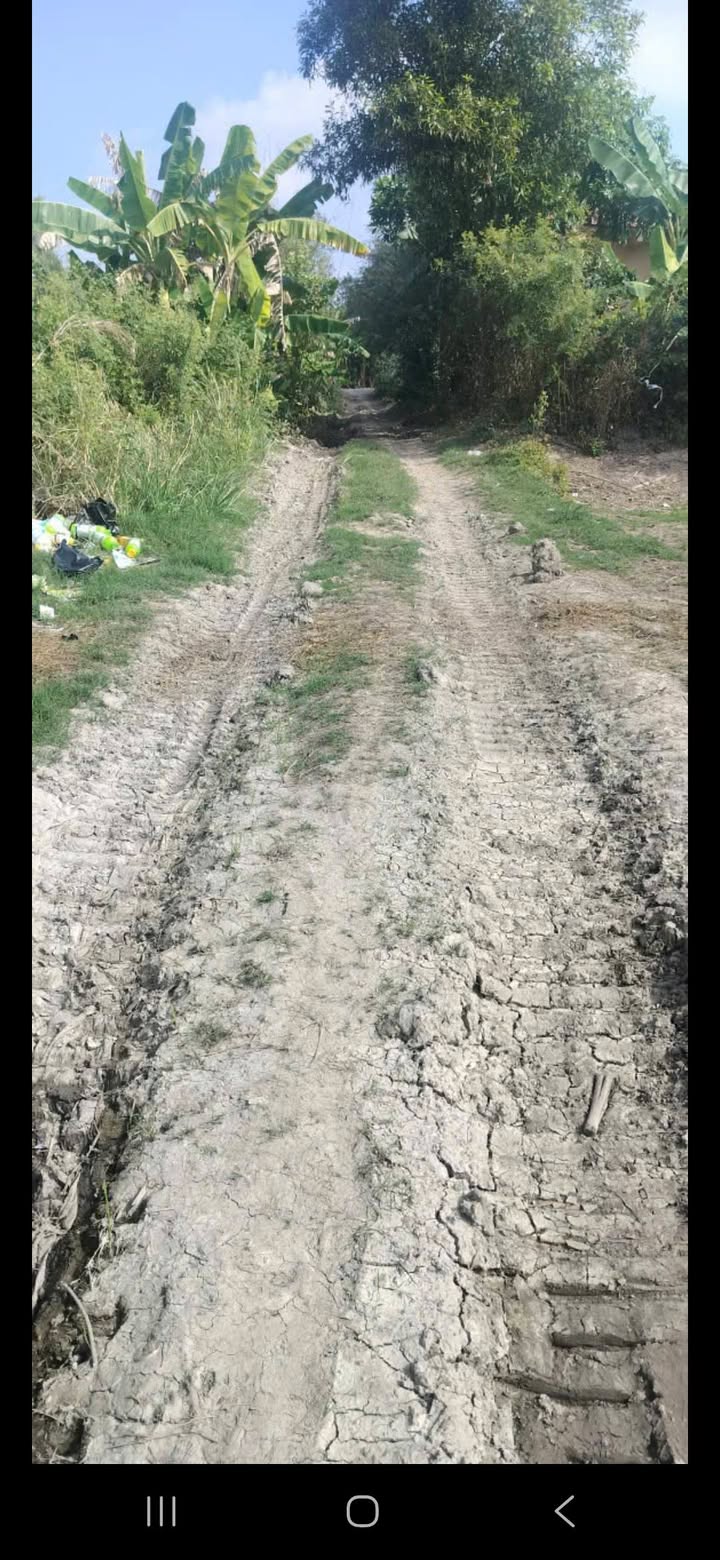 Bán Gấp 8.6 Công Đất Vườn An Giang - Mặt Tiền Kênh Sườn Thoại Sơn