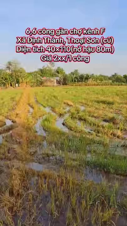 Đất vườn Định Thành, Thoại Sơn 6600m² giá 1.32 tỷ - Giá đầu tư tốt!