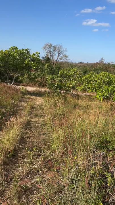 Đất nền Ea H'Leo 3.7ha giá 2.1 tỷ - Sổ đỏ chính chủ, tiềm năng tăng giá!