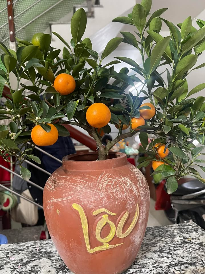 Bán nhà 3 tầng Phường Quang Trung 43m² giá 1.39 tỷ - Ô tô tránh nhau!