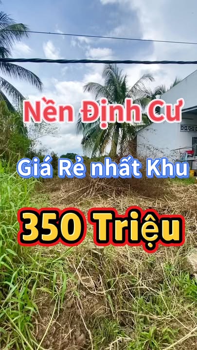 Đất nền Nhơn Ái Cần Thơ 93m² 350 triệu - Tiềm năng tăng giá!