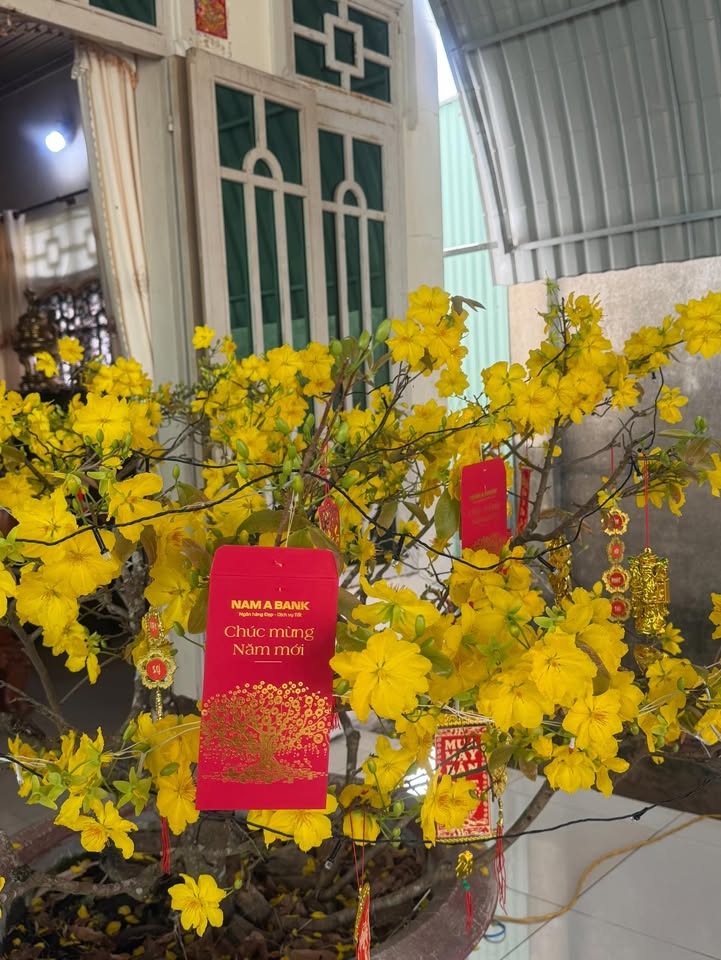 Đất nền Tân Phong, Tân Biên 450m² - Sổ đỏ chính chủ