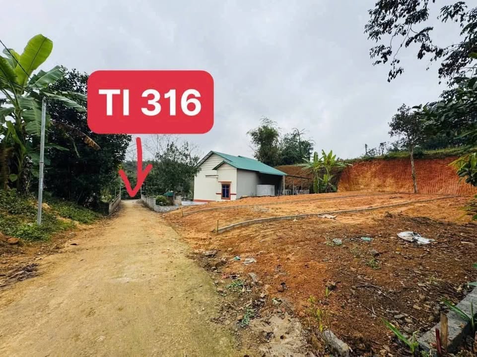 Đất nền Văn Miếu, Thanh Sơn 206m² - Sổ đỏ chính chủ, giá cực tốt!