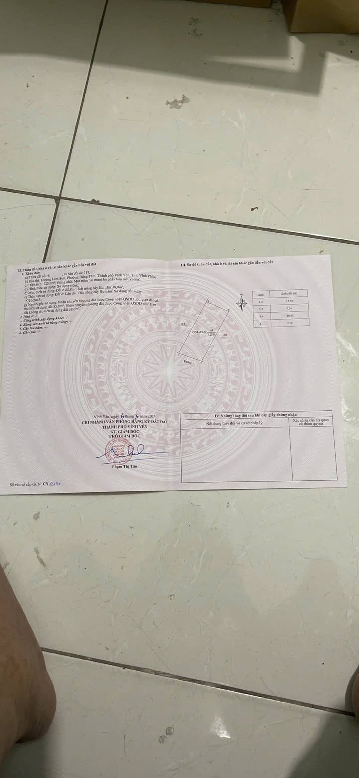 Đất nền Đường Lam Sơn Vĩnh Yên 123.8m² - Mặt tiền kinh doanh đắc địa!