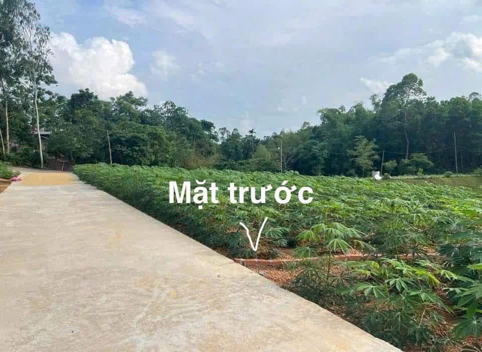 Đất nền Tam Nông 131.7m² giá 4xx triệu - Đất thổ cư 100%