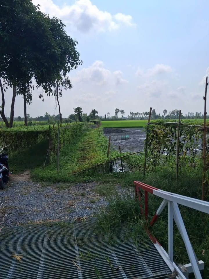 Đất nền Phường Mỹ Thới, Long Xuyên 360m² - Sổ đỏ chính chủ!