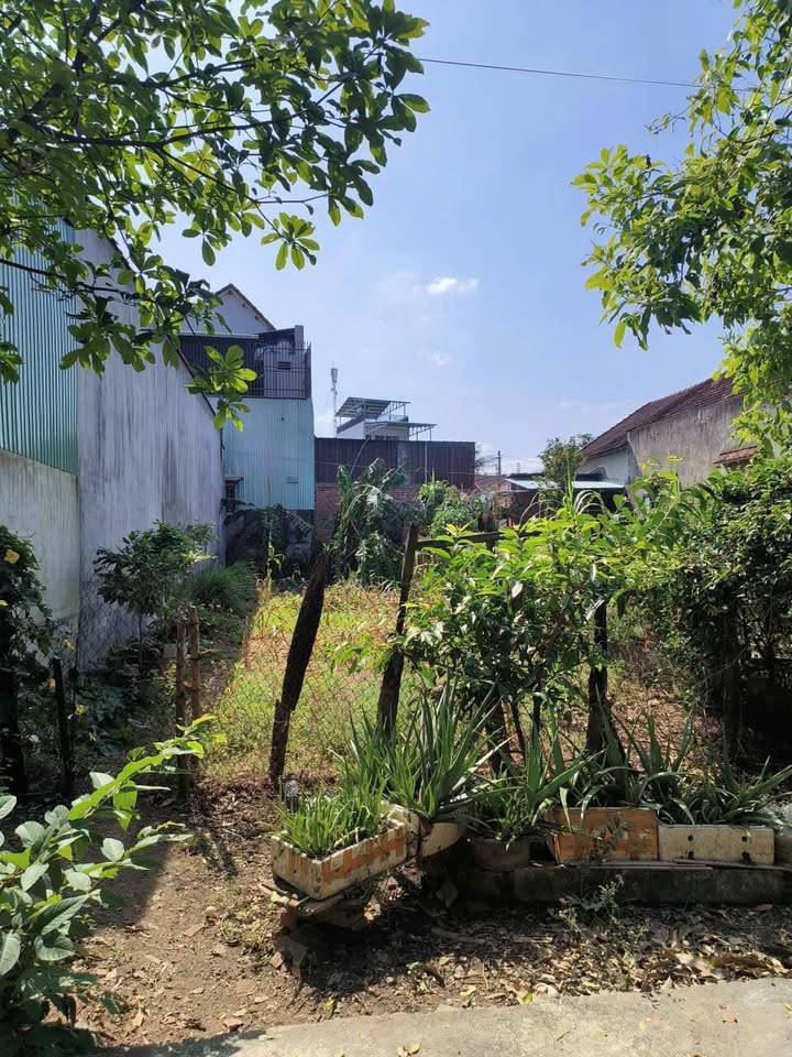 Đất nền Tây Phú Tây Sơn 126m² giá chỉ 6xx triệu - Sổ đỏ chính chủ!