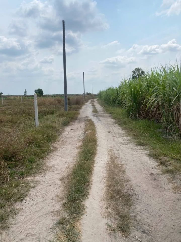 Đất vườn Tân Phong Tân Biên 3600m² giá 1xx triệu - Sổ hồng sẵn