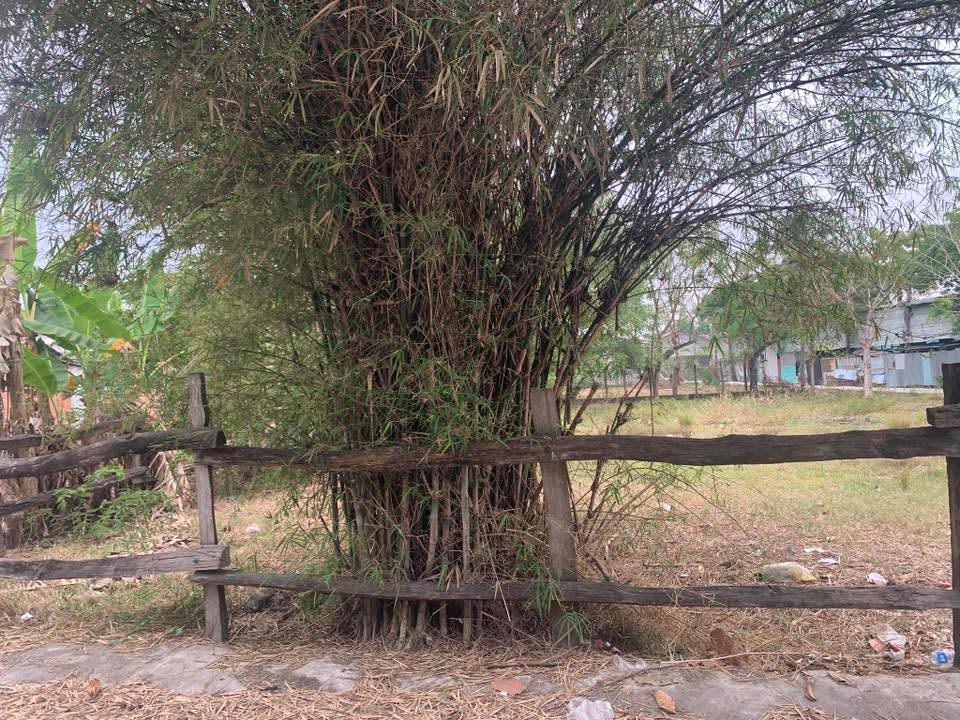 Đất thổ cư Phường 4, Tây Ninh - 585m² - Sổ hồng sẵn sàng giao dịch