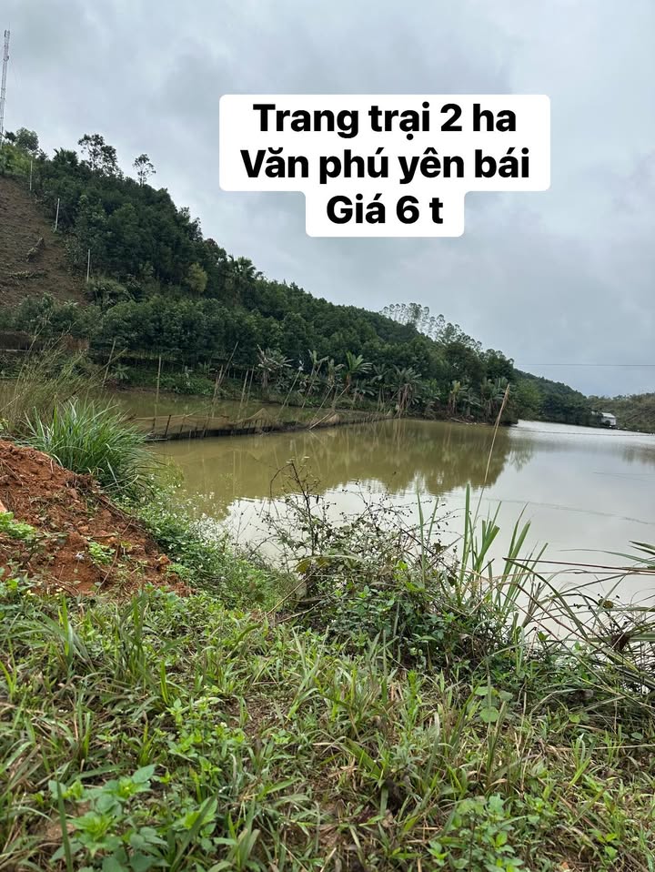 Bán đất trang trại 2ha Văn Phú, Yên Bái - Vườn ao, view đẹp, giá 6 tỷ