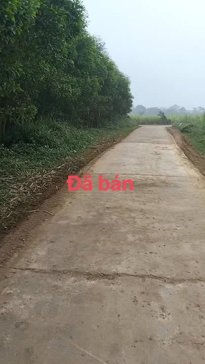 Đất Nông Nghiệp Thái Hoà 2.2ha - Cơ hội Đầu tư dài hạn tại Nghệ An!