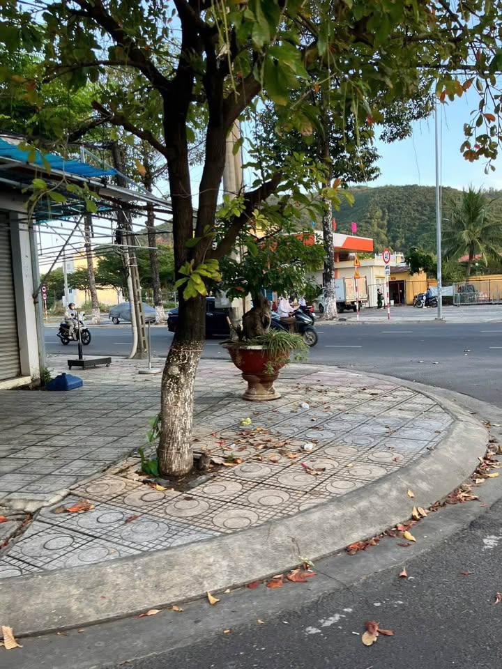 Bán Nhà Góc 3 Mặt Tiền P. Vĩnh Nguyên, Nha Trang - 58m² Kinh Doanh Đa Ngành