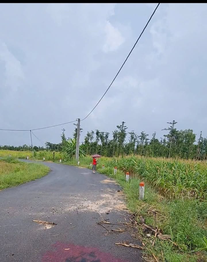 Đất Vườn Châu Đức 630m² - 790 Triệu - View Như Đà Lạt, Sẵn Sàng Xây Nhà Nghỉ Dưỡng