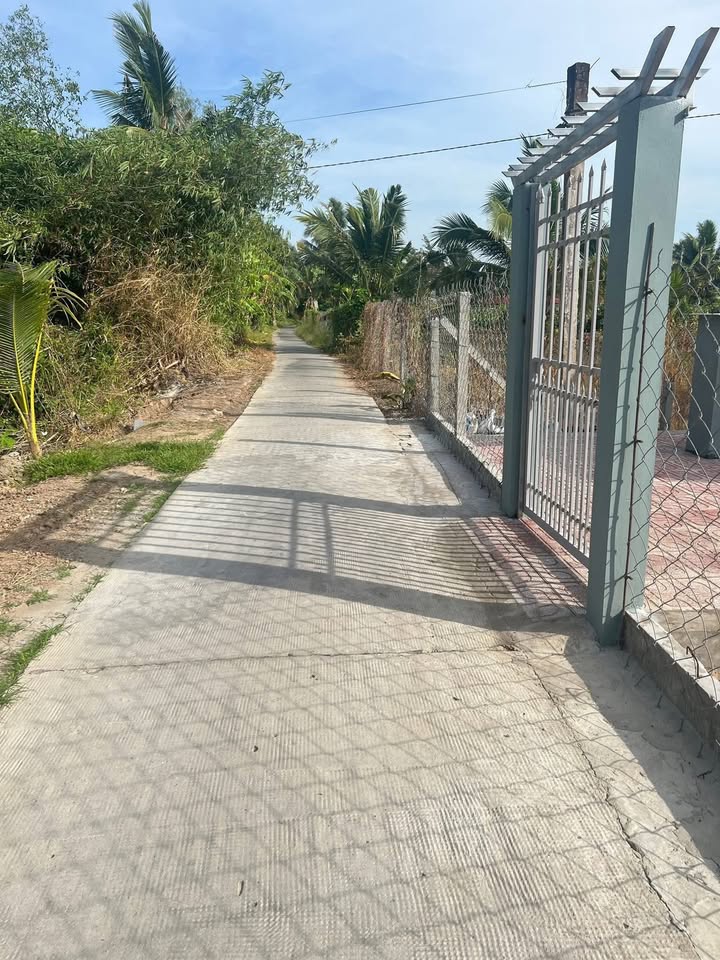 Đất nền Cờ Đỏ Cần Thơ 564m² giá 390 triệu - Sổ đỏ chính chủ