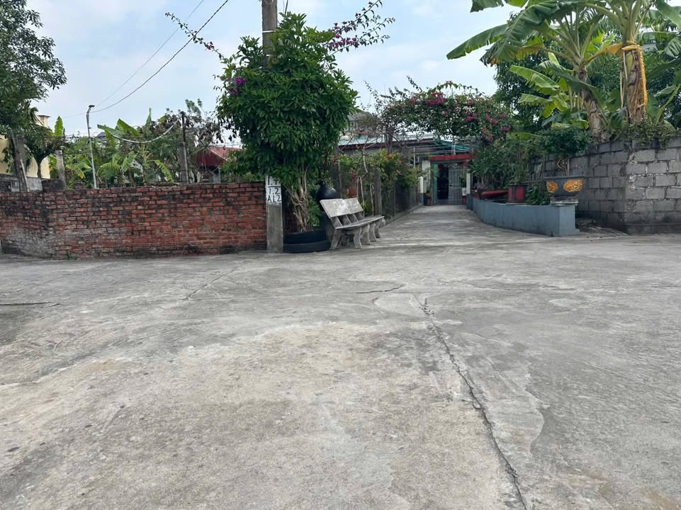 Đất đấu giá Thuỵ Liên 163m² - Sổ đỏ, full thổ cư, gần KCN Liên Hà Thái