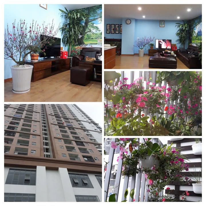 Chung cư Tứ Hiệp Plaza 85m² - 3PN Full Nội Thất, Sổ Hồng Sẵn Sàng