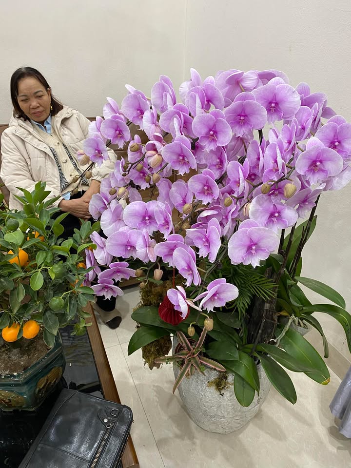 Căn hộ Quảng Thành 58m² 1.2 Tỷ - Sát AEON Mall Thanh Hóa