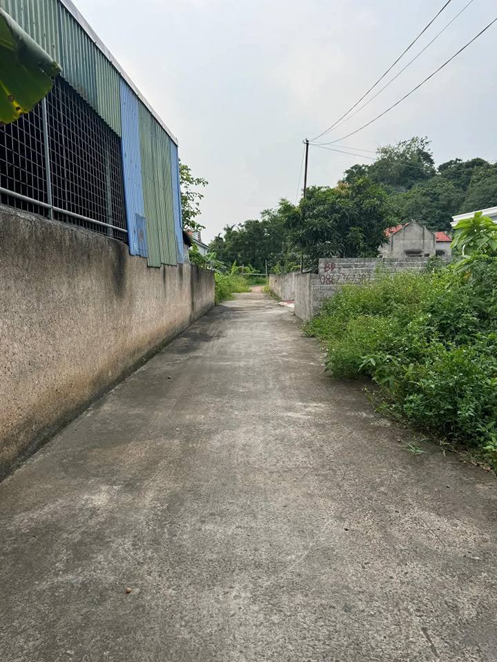 Bán Đất Lại Xuân, Thủy Nguyên 145.3m² - Vừa Ở Vừa Đầu Tư