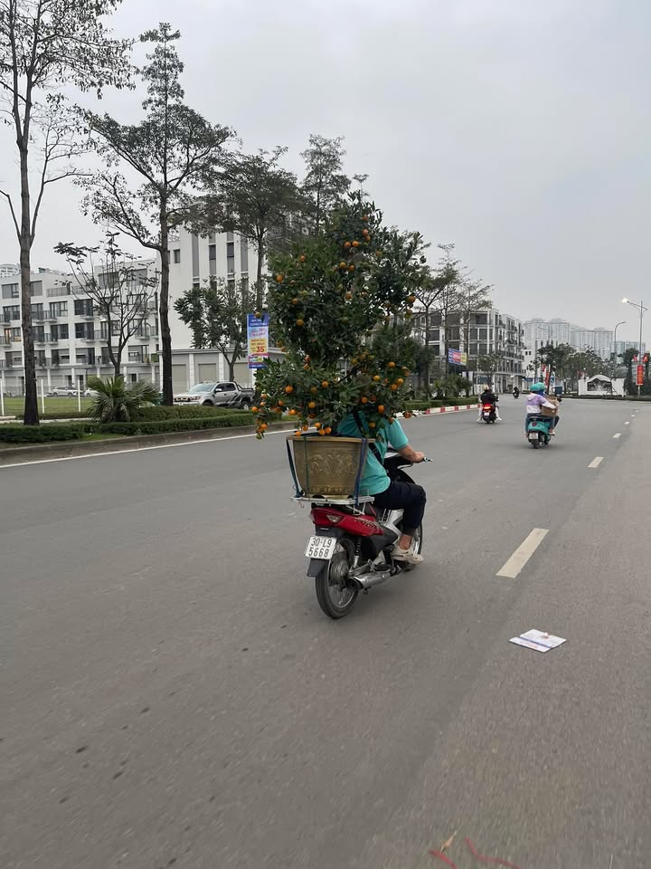 Nhà Tập Thể Tầng 1 Hoàng Đạo Thành 80m² - Mặt tiền kinh doanh đắc địa!