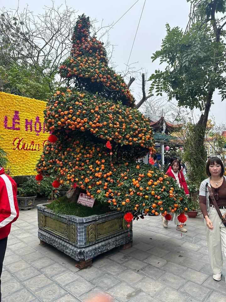 Đất nền 110m² Kim Bài, Thanh Oai - Sổ đỏ chính chủ, giá đầu tư 5.06 tỷ