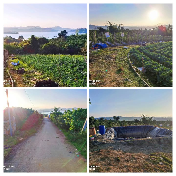 Đất vườn Tà Hine 7.500m² view hồ Đại Ninh - Nghỉ dưỡng lý tưởng!