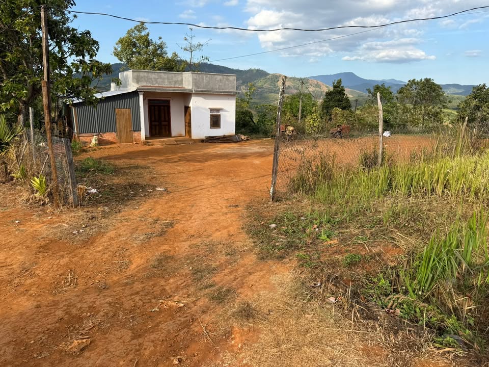 Bán đất Xã Trường Xuân Đắk Song 2 sào giá 1.2 tỷ - Sổ đỏ chính chủ