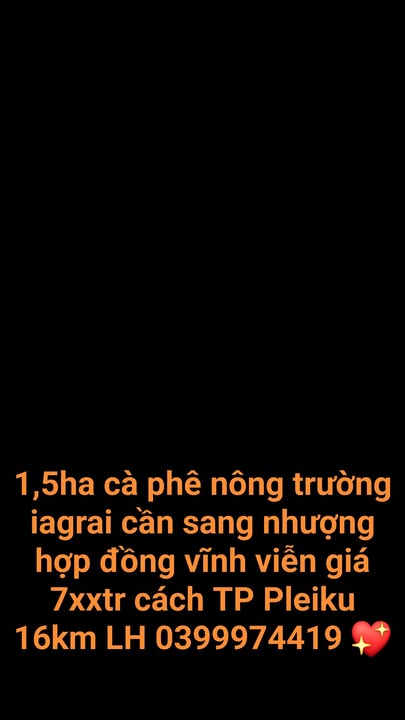 Bán Nhanh 1.5ha Đất Cà Phê Ia Grai - Hợp Đồng Vĩnh Viễn