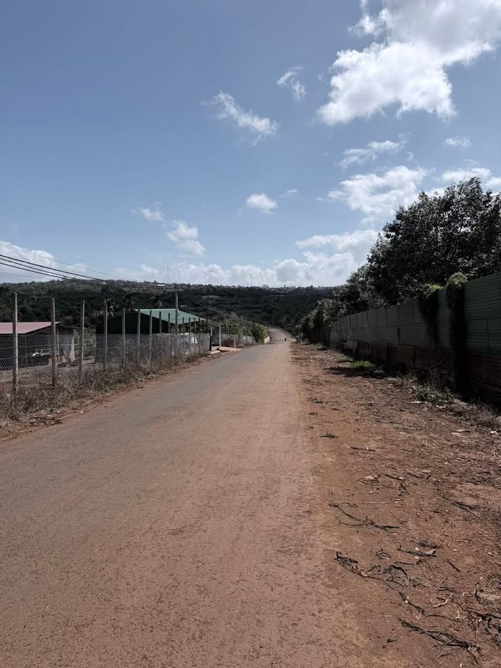 Đất Vườn Đắk Lắk 2040m² Mặt Tiền Lê Quý Đôn - Dòng Tiền Ổn Định Từ Sầu Riêng