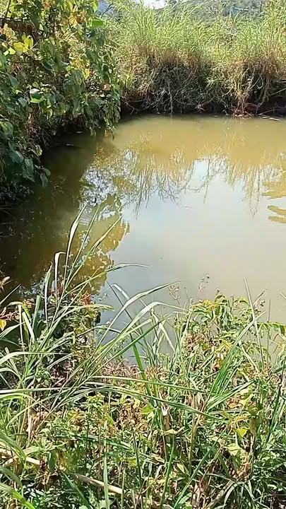 Đất Nền 3600m² Quảng Tâm Tuy Đức - Giá 450 Triệu, Sẵn Sàng Đầu Tư