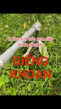 Bán 9ha đất vườn Ea H'leo Đắk Lắk giá 27.5 tỷ - Đầu tư sinh lời ngay!