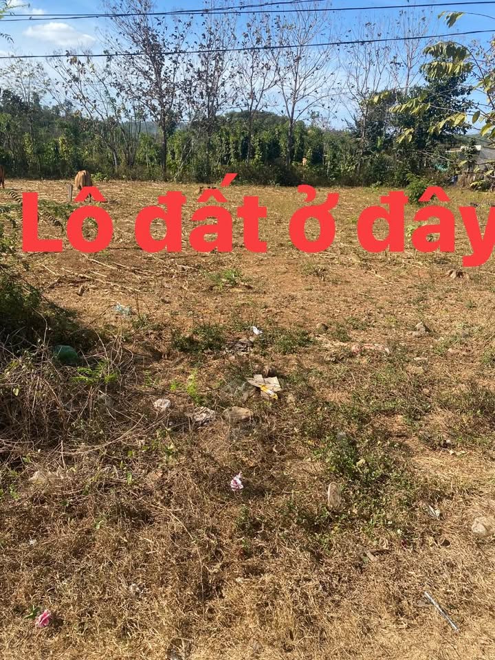 Đất Nền Đắk Nông 160m² Giá 850 Triệu - Gần Khu Du Lịch Dray Sáp