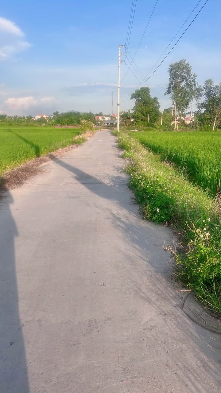 Đất Ruộng Phường Đức Chính Đông Triều 720m² Dưới 100 Triệu - Giá Tốt Đầu Tư!