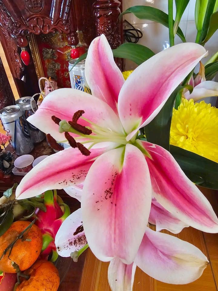 Đất nền Bù Đốp 125m² - Sổ đỏ chính chủ, giá F0 160 triệu