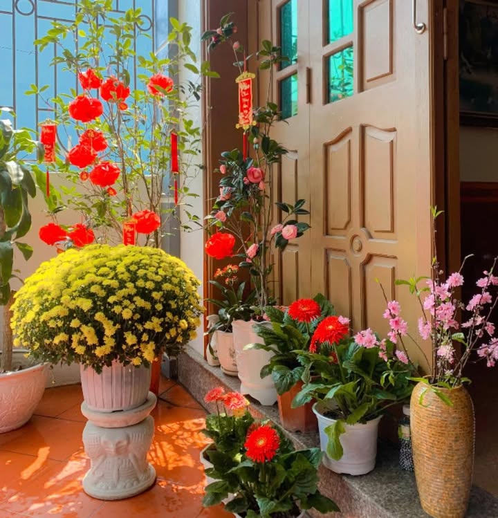 Bán Gấp Đất Nền 80m² Hướng Nam Tại Thái Thụy, Thái Bình - Gần Chợ Hoa Đồng Miễu