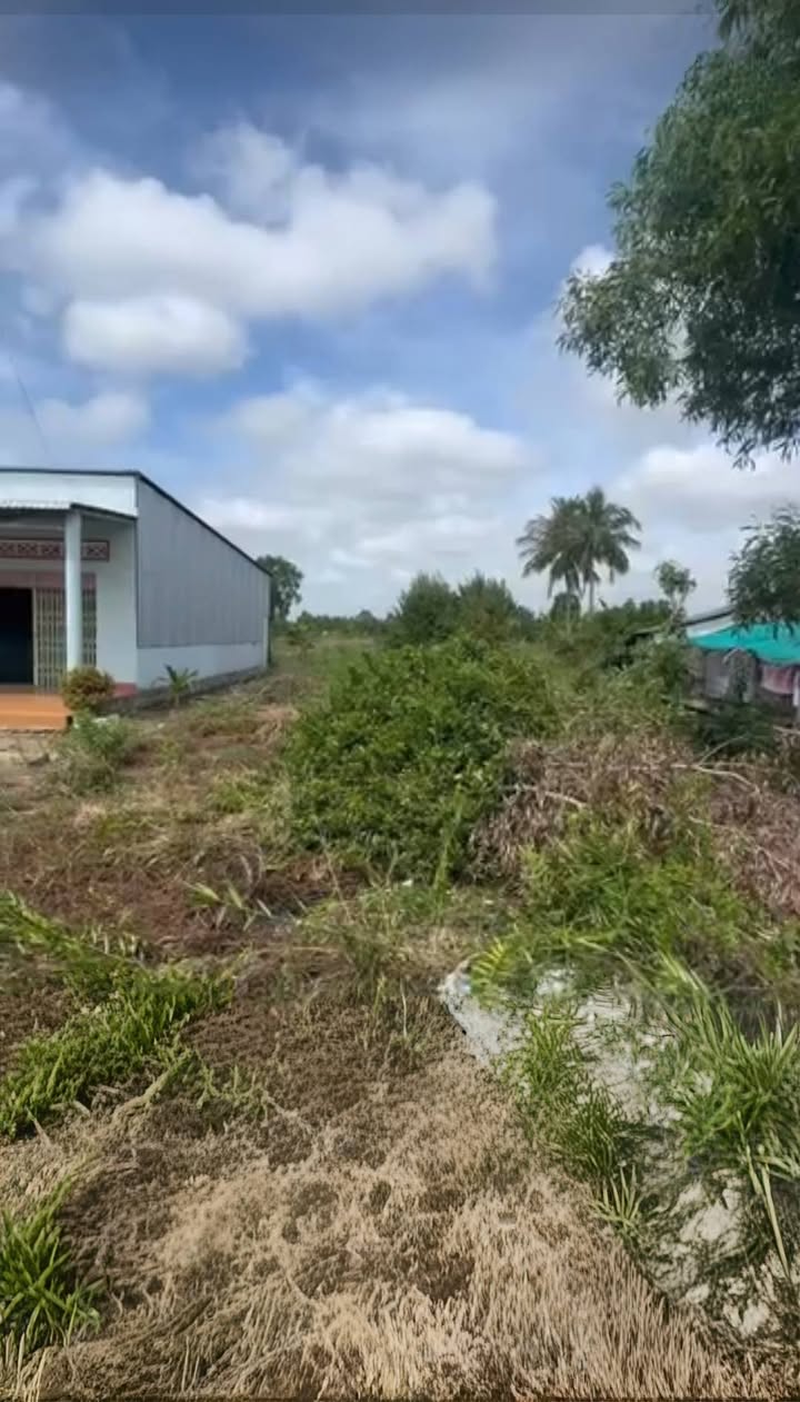 Đất nền Lương Thế Trân Cà Mau 1120m² - Tiềm năng tăng giá vượt trội!