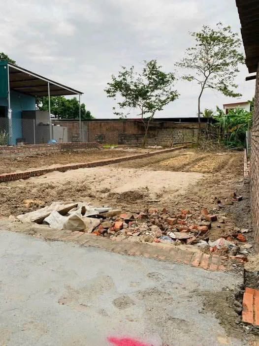 Đất nền Minh Hải, Văn Lâm 115m² - Tiềm năng tăng giá vượt trội!