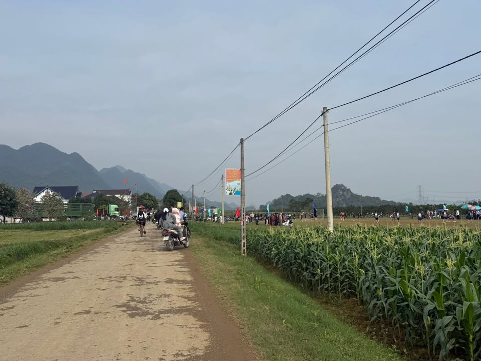 Đất Nền Yên Thủy 270m² Sổ Hồng Full Thổ Cư - Gần Hồ Sinh Thái