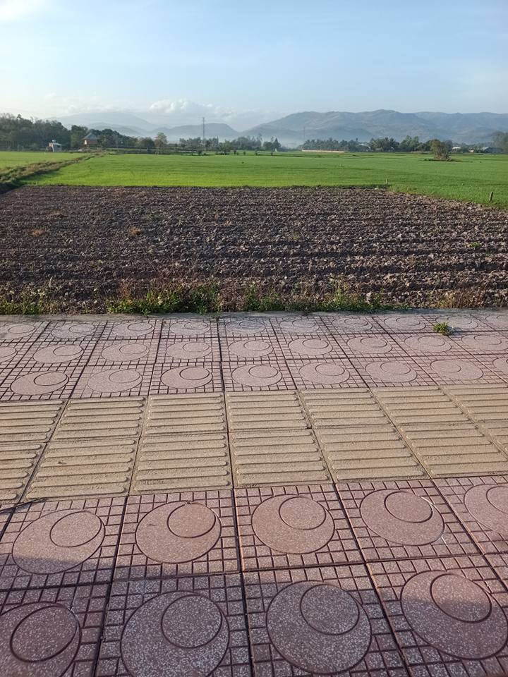 Đất nền Nguyễn Huệ Pleiku 420m² - Tiềm năng tăng giá vượt trội!