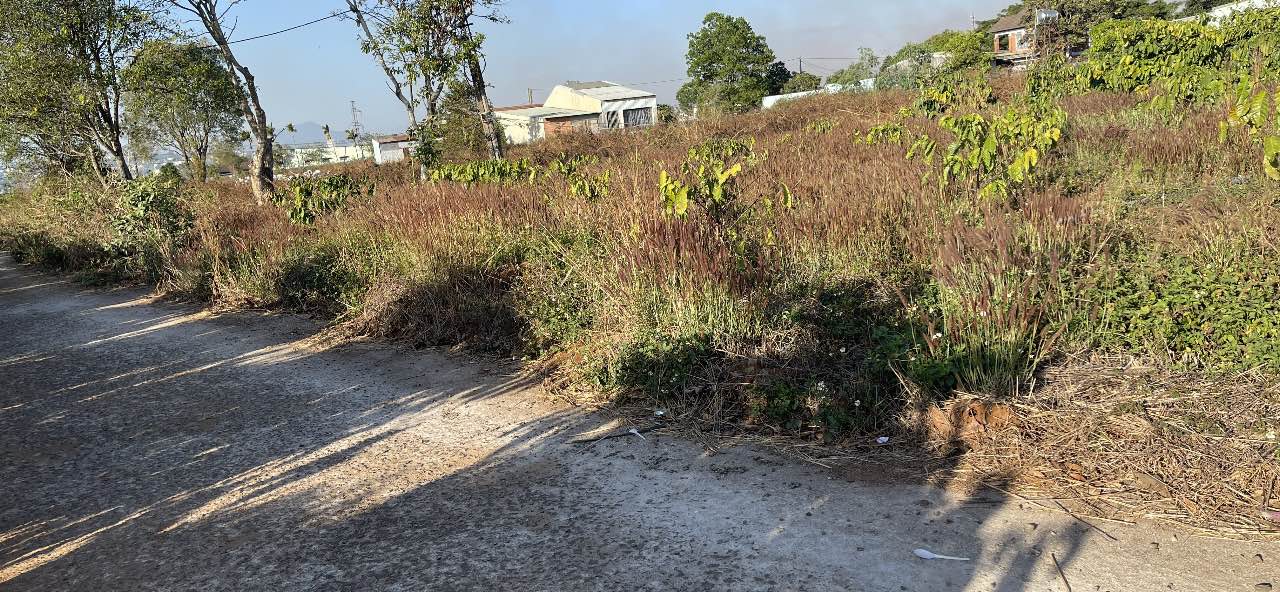 Bán đất Phường Diên Hồng 150m² giá 500 triệu - Sổ đỏ chính chủ