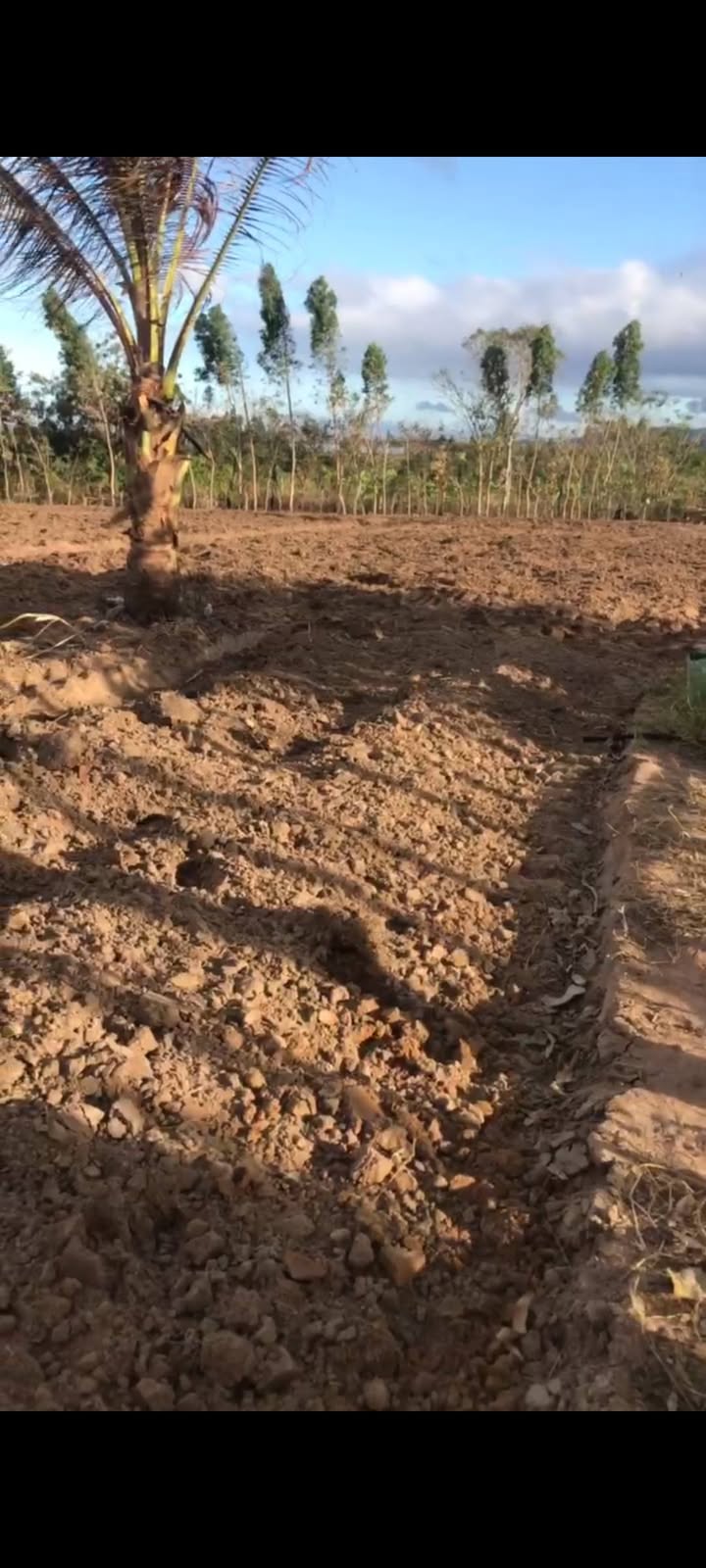 Bán Đất Vườn 12.000m² Tại Kim Tân, Ia Pa - Sẵn Sàng Khai Thác