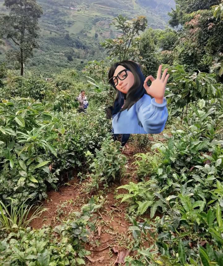 Bán Gấp Đất Vườn 5000m² Xã Đạ Tồn, Lâm Đồng - Sổ Giấy Tay, Giá Tốt