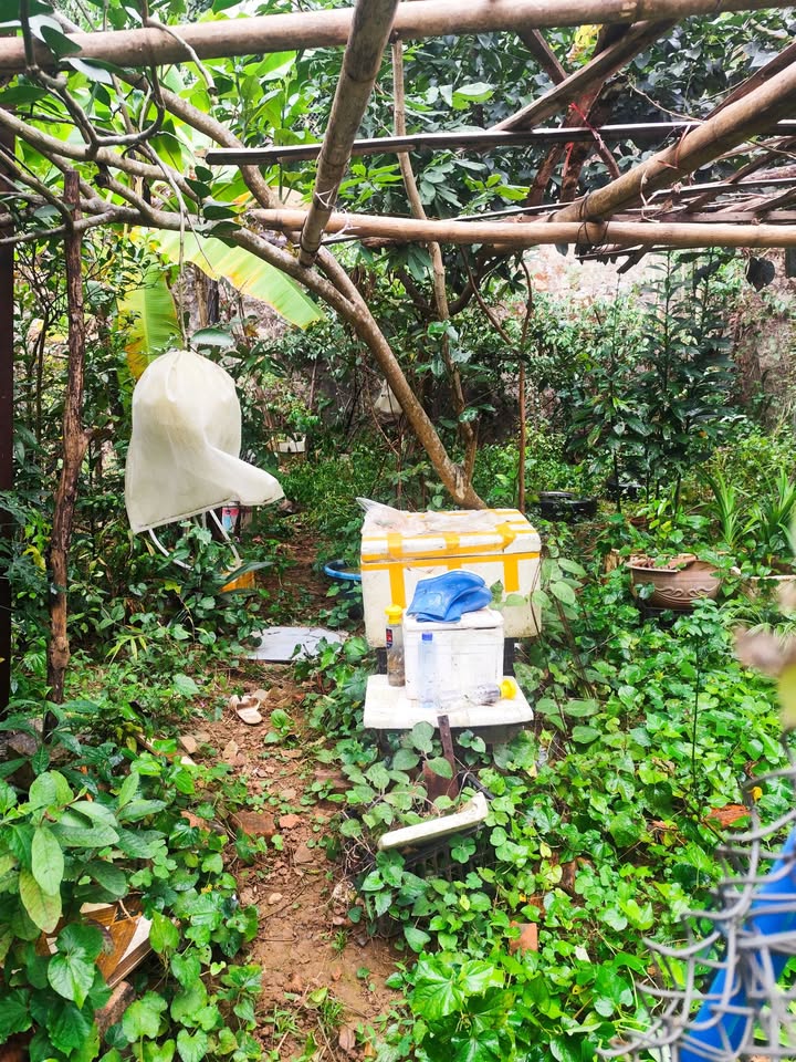 Đất thổ cư 72m² Sơn La - Sổ hồng chính chủ, giá yêu thương