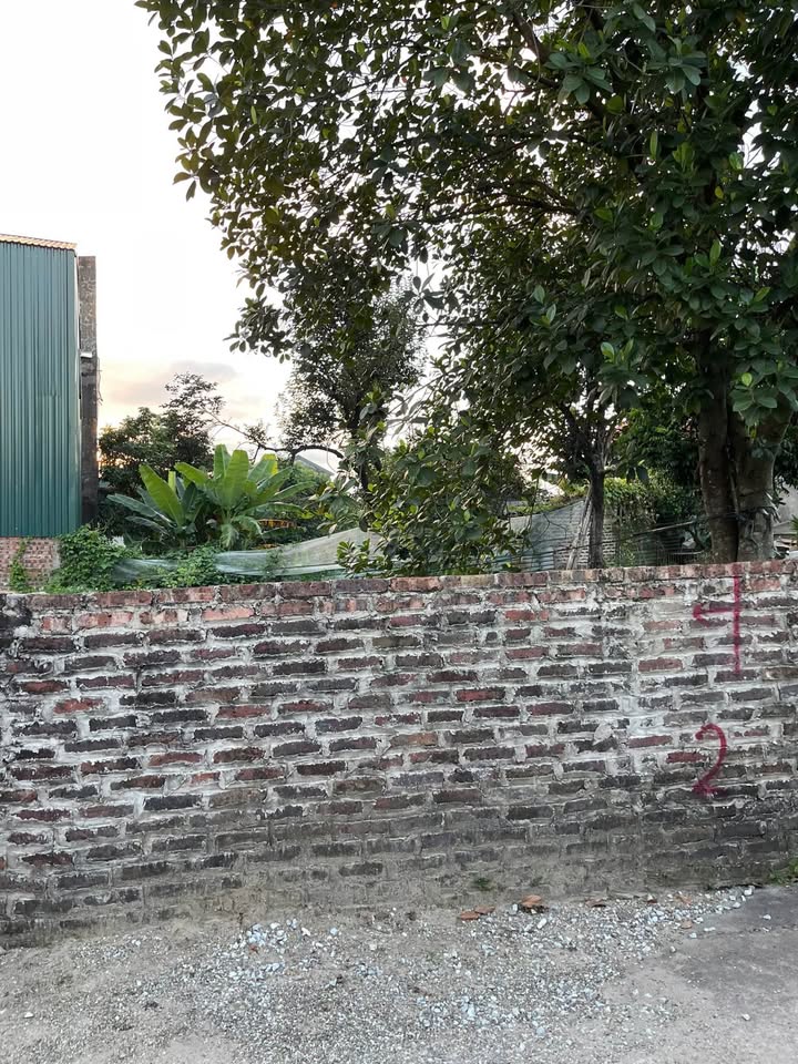 Đất nền Đường Việt Bắc, Thái Nguyên 100m² 3 tỷ - Sổ đỏ chính chủ