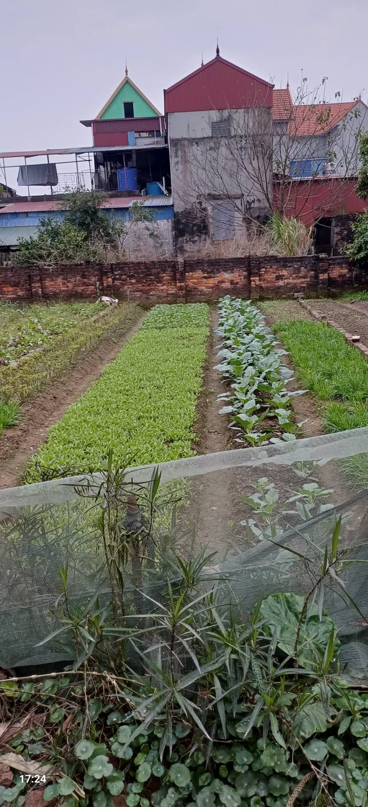 Bán Đất Vàng Phố Hiến 83.9m² - Sổ Đỏ Sẵn Sàng, Đường Thông Thoáng