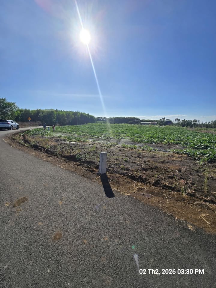 Đất Châu Đức 1033m² hơn 50m mặt tiền - Tiềm năng tăng giá cực cao!